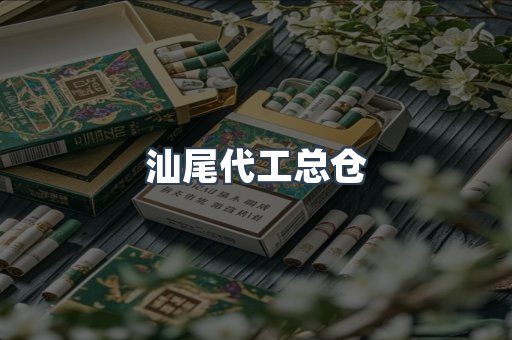 汕尾代工总仓